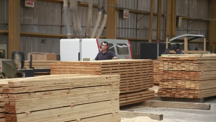 Forestry Guilds Warn of Impacts from U.S. Tariffs