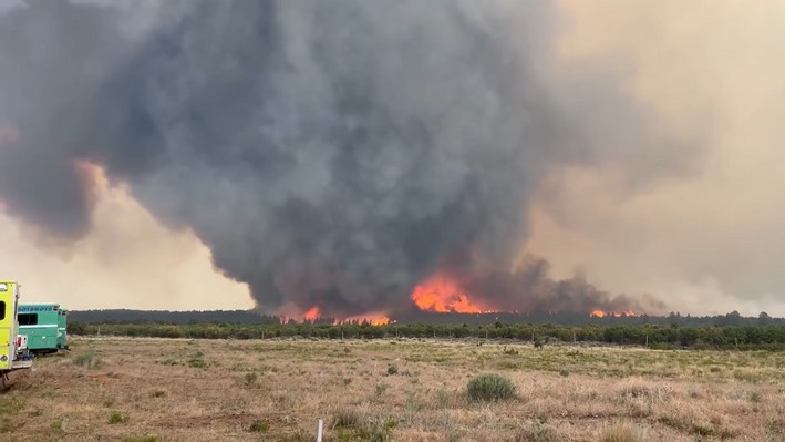 Espectáculo y peligro: "tornado de fuego" capturado en video
