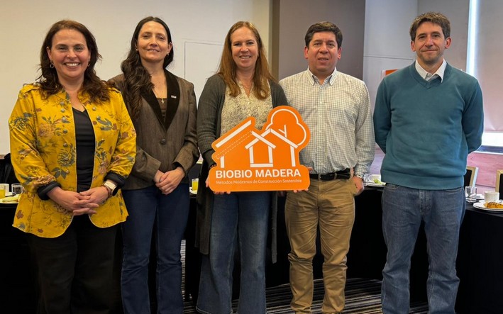 Assume nova presidente da governança da BiobioMadera