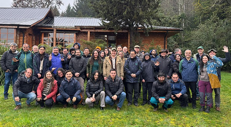 Comitê impulsiona produção limpa em florestas nativas do sul do Chile