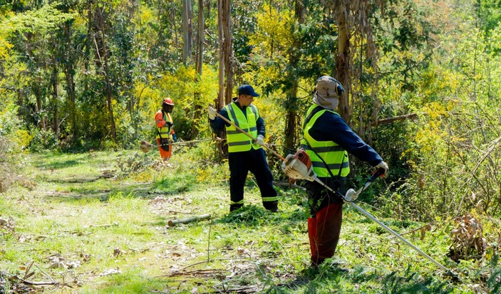 Concepción Shields Itself Against Fire: Forest Fire Prevention Campaign Launched