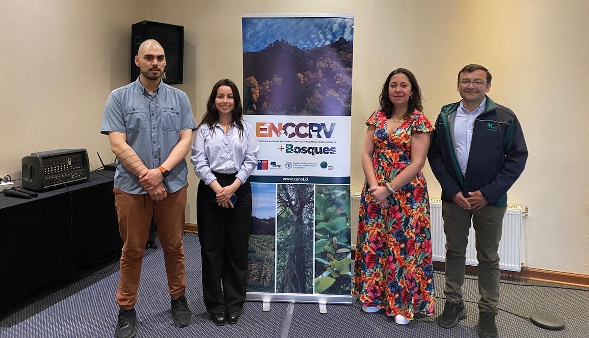 UBB fortalece su aporte a la restauración ecológica en Ñuble a través del Grupo REDD+