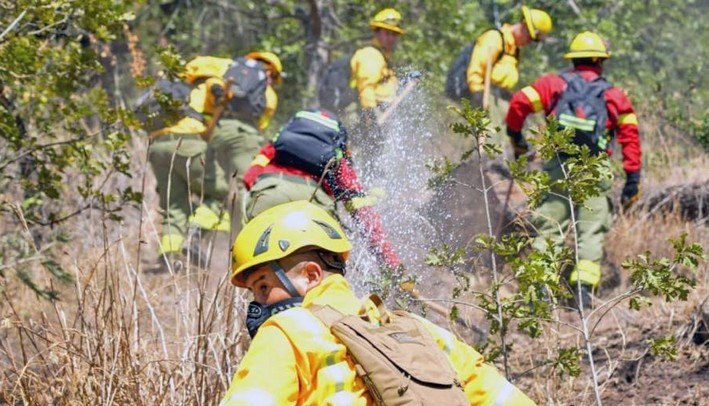 Em Ñuble buscam superar limitação do PDA para evitar incêndios com uso de queimadas técnicas
