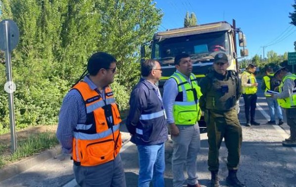 Nearly 50% of Illegal Logging in Ñuble Affected Native Species This Year