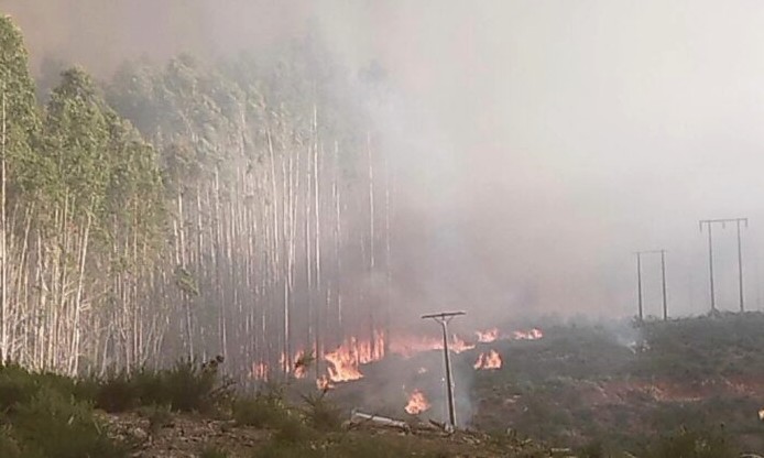 Exjefe de mantenimiento de firma eléctrica es acusado por incendio en Los Ríos