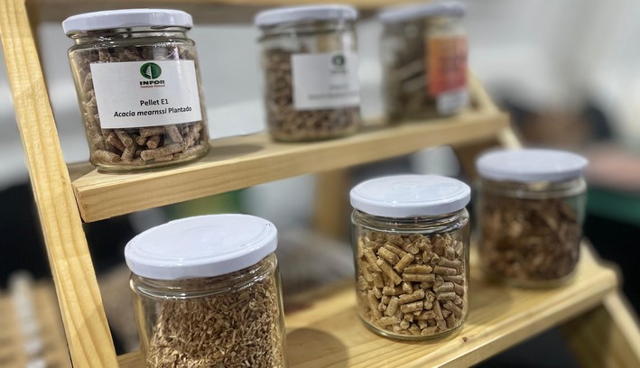 Biobío se proyecta como eje estratégico en la Ley de Biocombustibles
