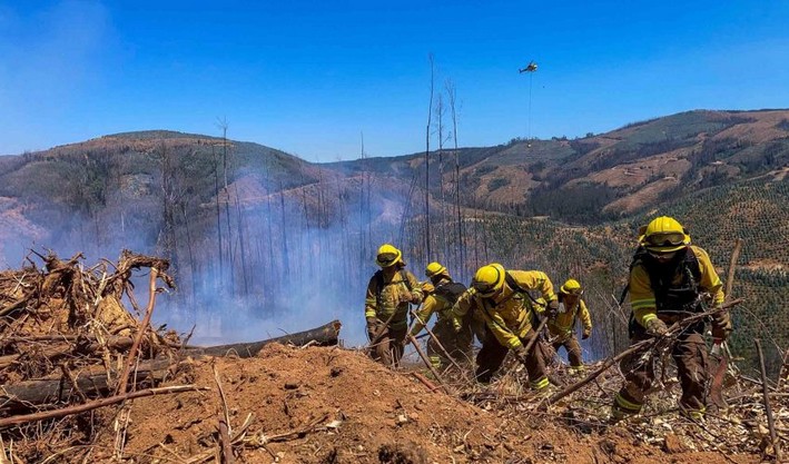 Cerca de dos años en el Congreso: Gobierno exige acelerar tramitación de ley que regula prevención de incendios forestales