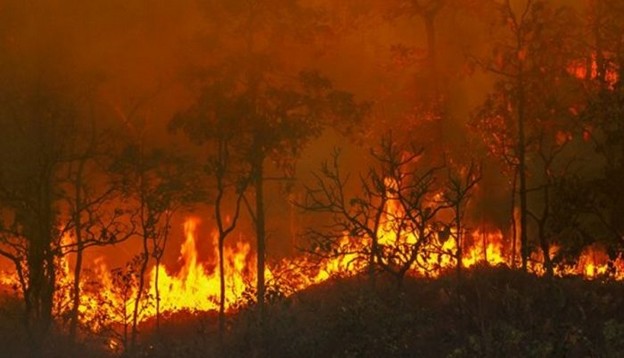 La omisión lesiva del proyecto de ley de incendios