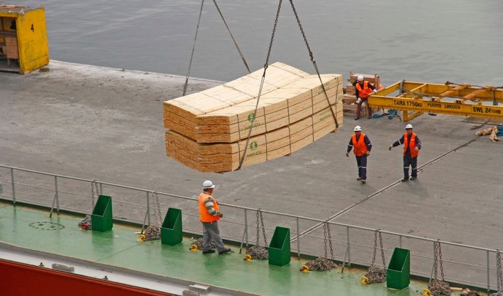 Analisam impactos de tarifas sobre exportações florestais da Região