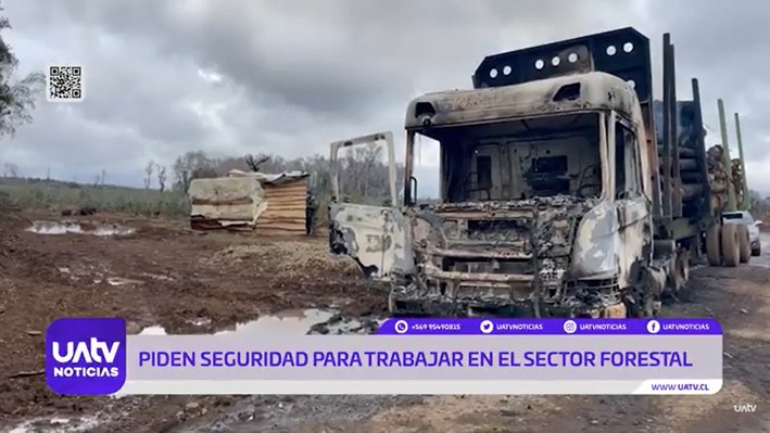 Mais de 200 milhões de dólares em perdas deixa a violência rural: sindicato florestal exige ação do Estado