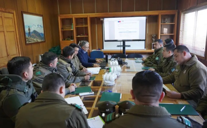 Buscan combatir el robo de madera en Ñuble