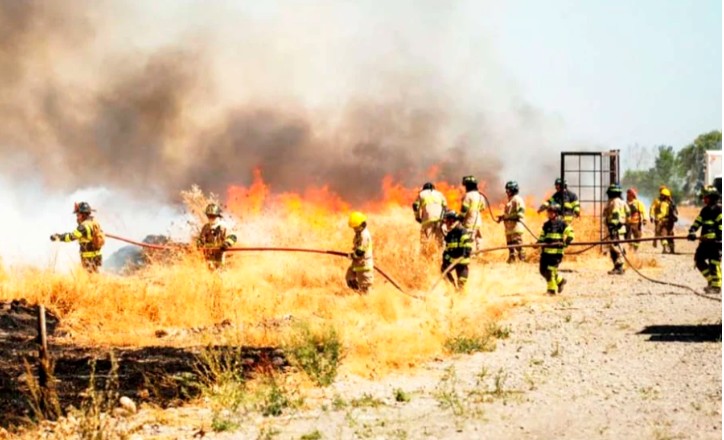 13 Wildfires Recorded Over One Weekend: Conaf Points to Rural Plots