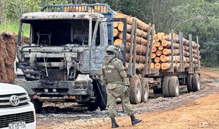 Insegurança, o fator que mantém estagnado o investimento florestal no Chile