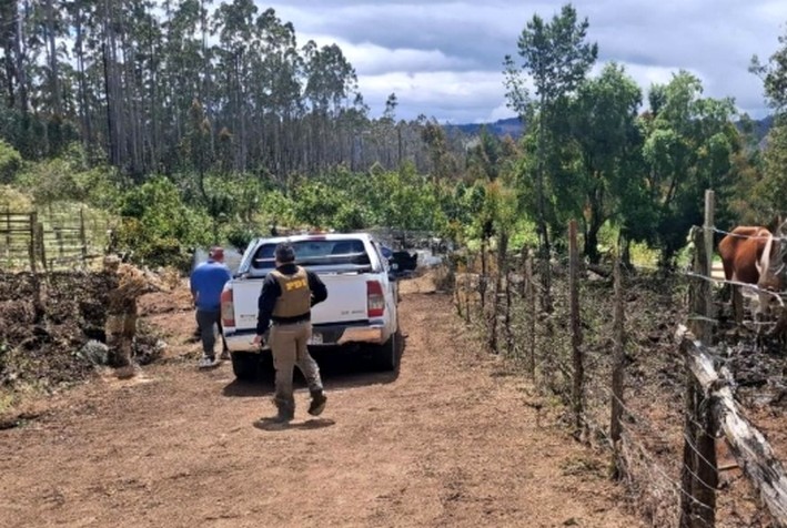 Detienen a dos hombres por robo de madera en Los Lagos
