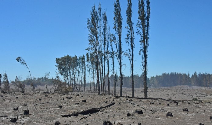 Los puntos críticos de incendios forestales que concentran la atención en Los Ángeles