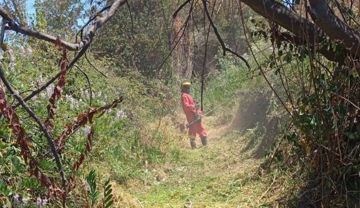 Município prepara série de medidas para prevenir incêndios no perímetro urbano