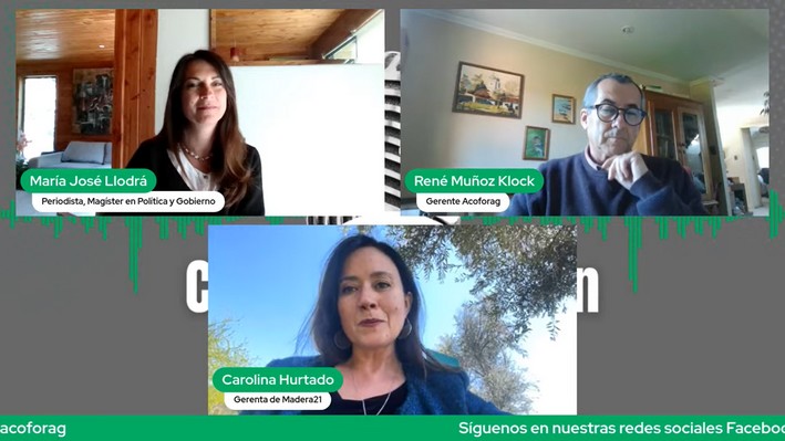 Carolina Hurtado: “Chile tiene la madera, ahora falta innovar en su uso”