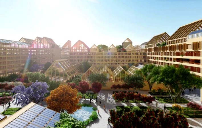 Nuevo paradigma: ¿por qué la madera lidera la transición hacia una industria más sustentable?