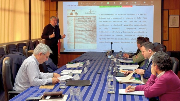 Conselho Consultivo aprova atualização histórica de tipos florestais e métodos de regeneração