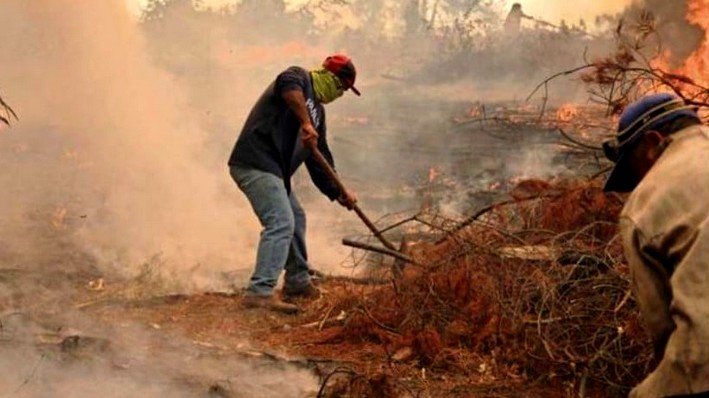 Ñuble: Fortalecerán despliegue rural en temporada de incendios forestales