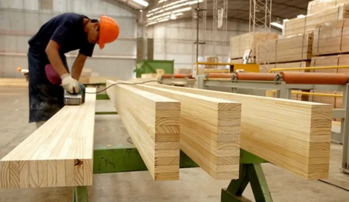 Exportações florestais do Biobío caem 30% em agosto: celulose e madeira serrada lideram retrocesso regional