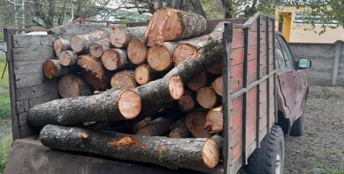 En flagrancia detienen a dos personas por sustraer madera desde predios particulares en Tucapel