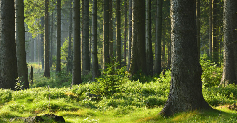 Environmental Regression