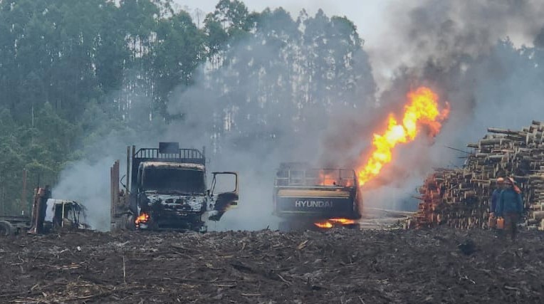 ILO Accepts Forestry Contractors' Claim Against the State Over Lack of Security in the Southern Macrozone