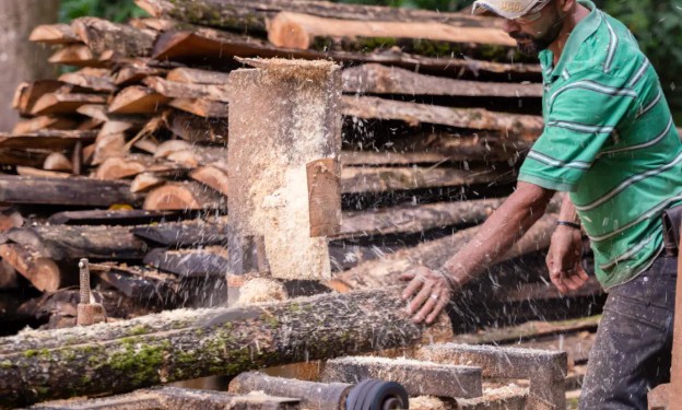 Costa Rica perfila un nuevo rumbo para uso de madera con enfoque sostenible