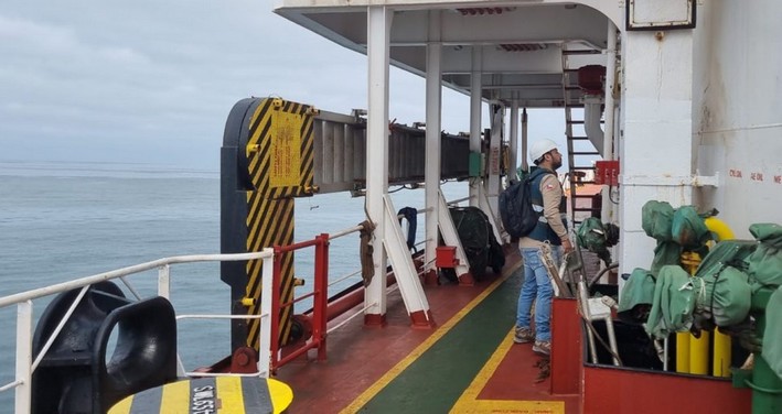 Alerta em Chañaral: detectam praga florestal em navio internacional