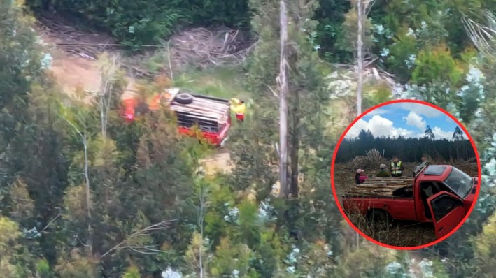 Incendio forestal en Lebu: El negocio del fuego de cara al robo de madera y la venta de leña