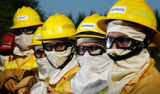 Brigada forestal de Arauco escapa de encapuchados armados en Curanilahue