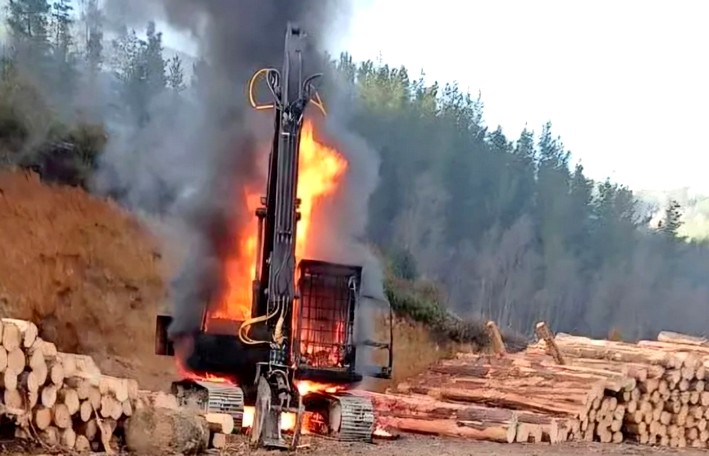 Forestry Contractors Warn: Violence Remains at Same Level as in 2024 and 2023