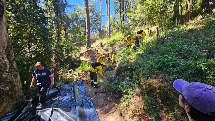 Operativo comunitario busca prevenir incendios en el Cerro Caracol