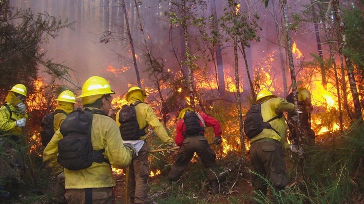 Mayor of Laja values presence of Armed Forces during wildfire season: "You can tell when they are here"