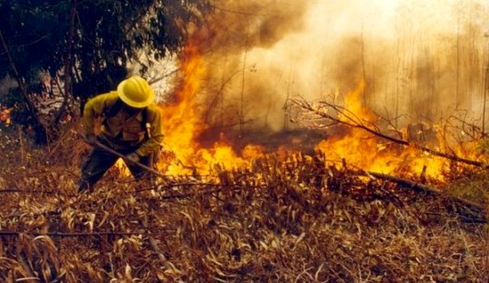 Biobío solicita "fuego técnico" para prevenir incendios forestales