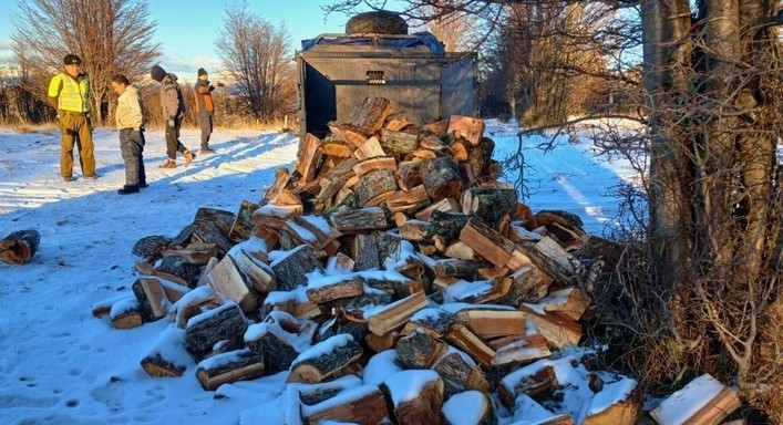 Conaf detecta extração ilegal milionária de lenga em terreno público em Aysén