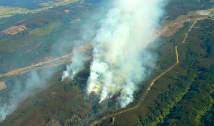 Incêndios florestais: municípios que carecem de Plano Comunal de Emergência explicam a falta