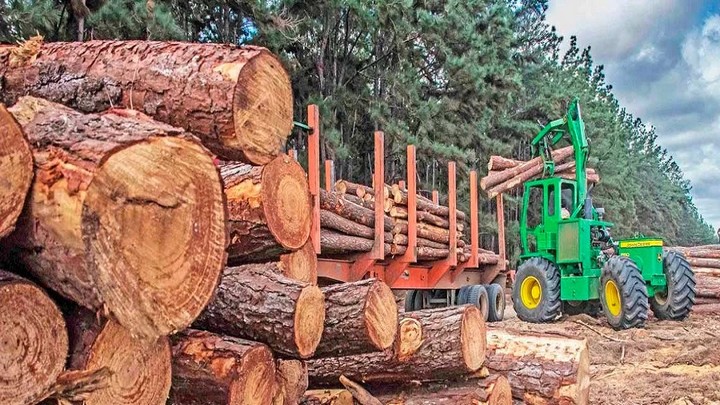 Exportaciones forestales del Biobío muestran resiliencia en un contexto regional a la baja