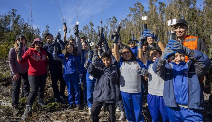 Plantación comunitaria refuerza la conservación de Nothofagus y el legado intergeneracional