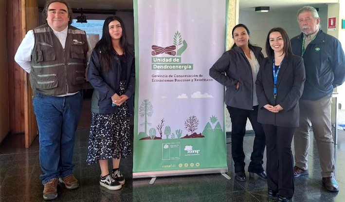 University of Bío-Bío Drives Innovation in the Forestry and Timber Sector