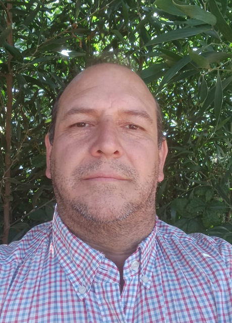 Alfonso Stefanini M.