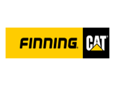 Finning