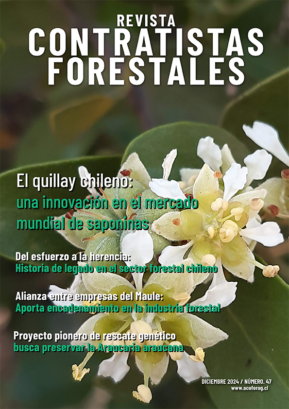 Número 47, Diciembre