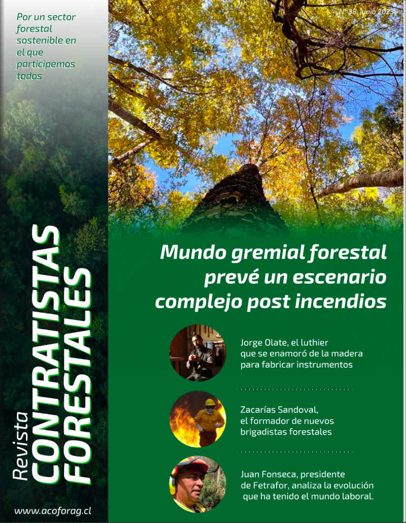 Número 38, Junio 2023