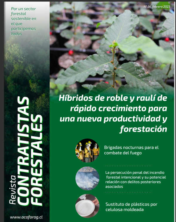 Número 36, Febrero 2023