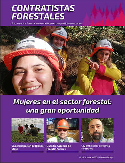 Número 28, Octubre 2021