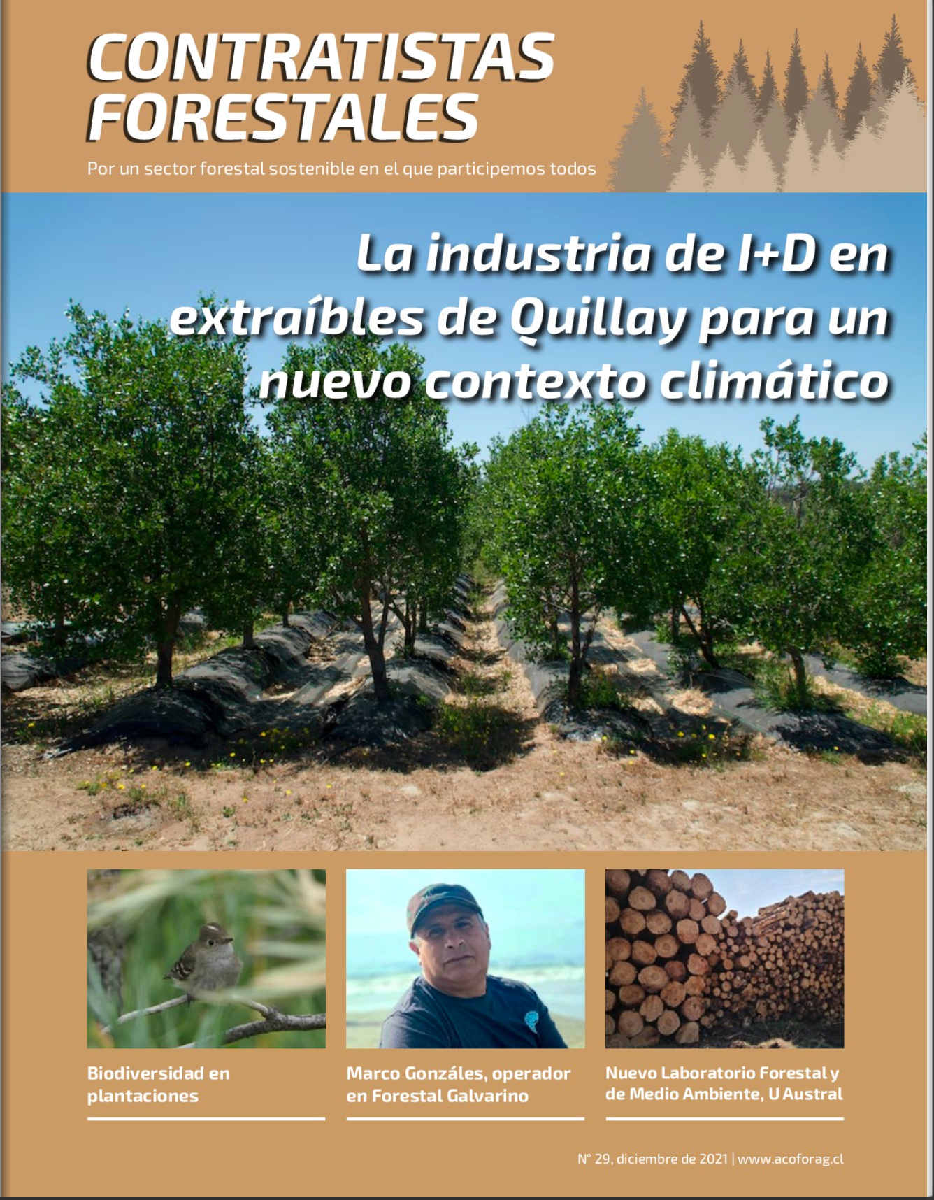 Número 29, Diciembre 2021
