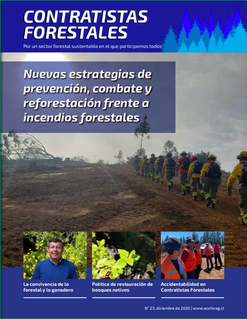 Número 23, Diciembre 2020