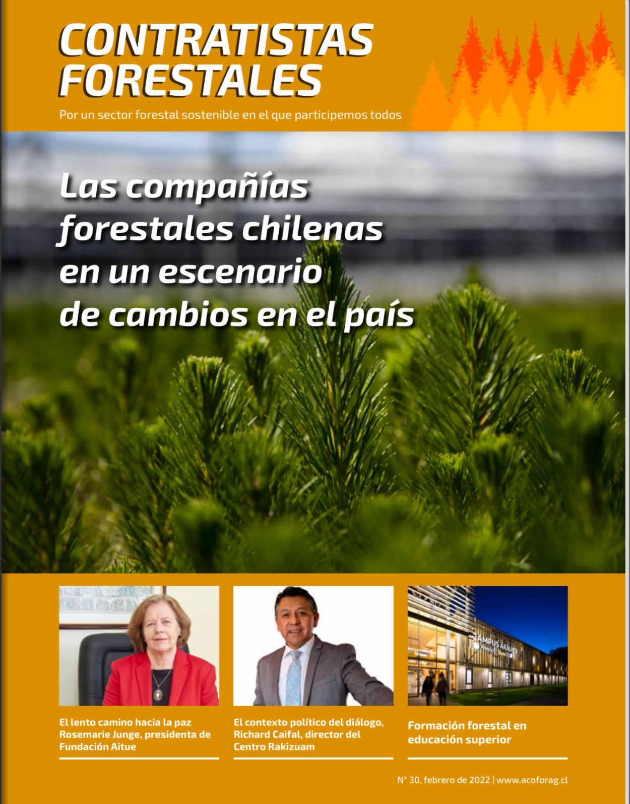 Número 30, Febrero 2022